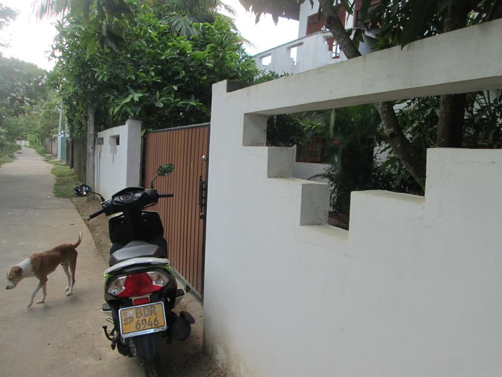 Bay Reach Home Stay Weligama Εξωτερικό φωτογραφία