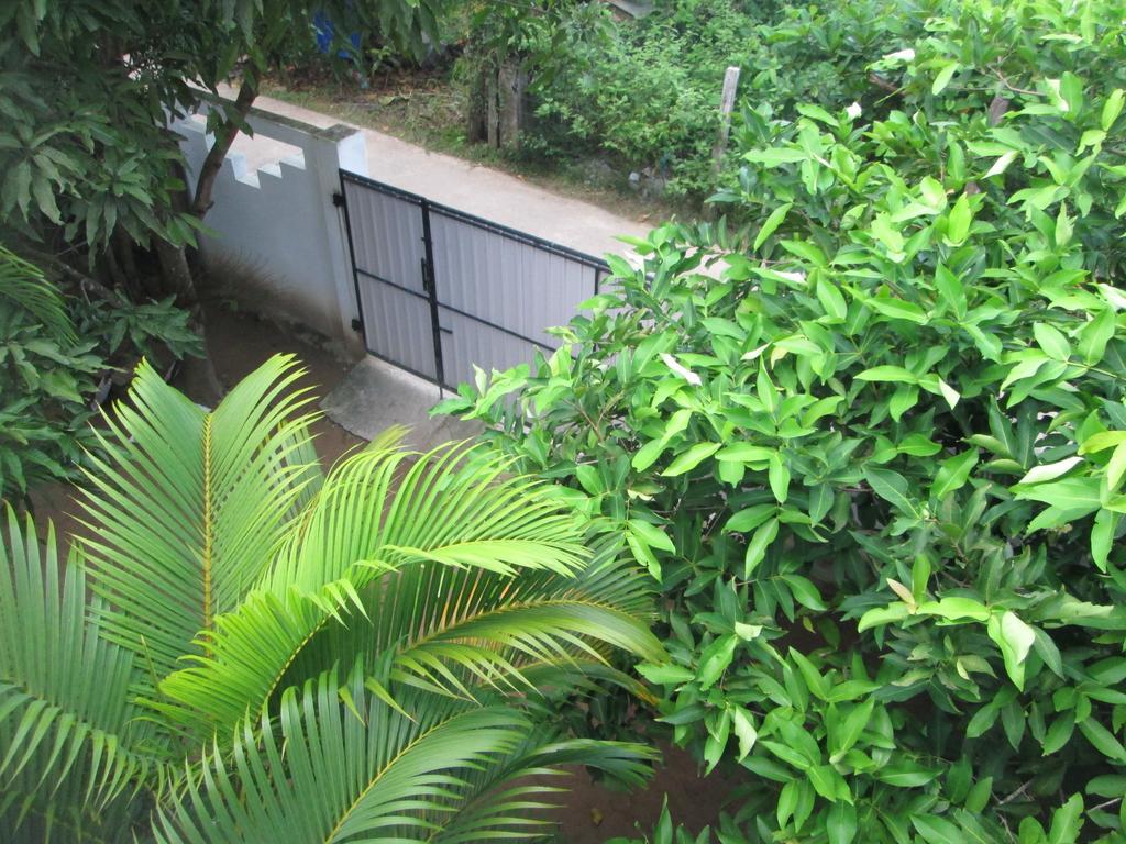Bay Reach Home Stay Weligama Εξωτερικό φωτογραφία