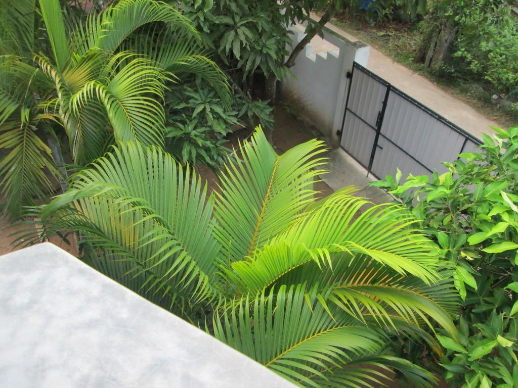 Bay Reach Home Stay Weligama Εξωτερικό φωτογραφία